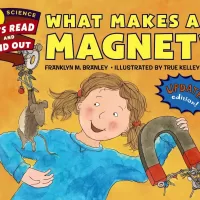 What Makes a Magnet