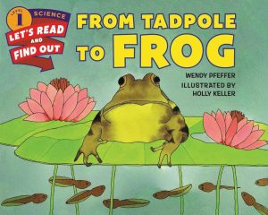 FROM TADPOLE TO FROG