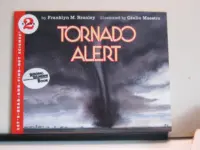 TORNADO ALERT