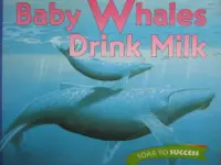 Baby Whales Drink Milk