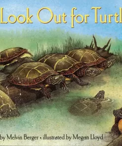 LOOK OUT FOR TURTLES!