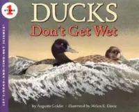 DUCKS DON’T GET WET