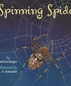 SPINNING SPIDERS