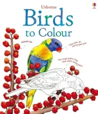 BIRDS TO COLOUR