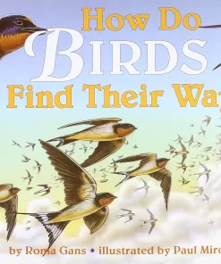 HOW DO BIRDS FIND THEIR WAY