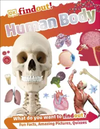 DK Find Out! Human Body