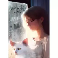 ليلة ماطرة.