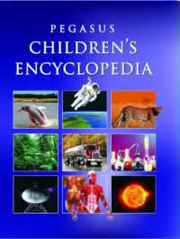 Pegasus Childrens Encyclopedia