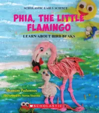 Little Flamingo Searches for Food