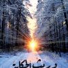 وريث الحكاية, امجاد المحمدي, رواية عربية, مركز الأدب العربي, كتب عربية, رواية معاصرة, أدب عربي
