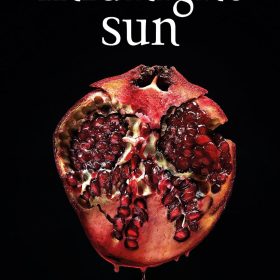 Midnight Sun
