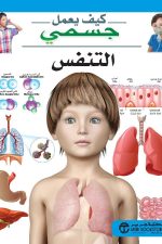 كيف يعمل جسمك