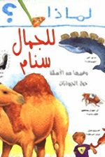 لماذا للجمل سنام؟