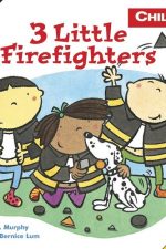 3 Little Firefighters