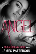 Angel: A Maximum Ride Novel: 7 (Maximum Ride: The Protectors)