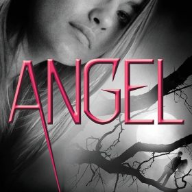 Angel: A Maximum Ride Novel: 7 (Maximum Ride: The Protectors)