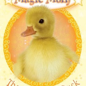 The Good Luck Duck, Magic Molly, Holly Webb, book 6, children's fantasy, animal magic, kids chapter book, ISBN 9781407131740, lucky duck, young readers, magical adventure, series, paperback, English children's book
